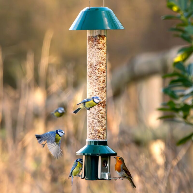 Roamwild PestOff Squirrel Proof Bird Feeder 2.0 For Peanut/Mealworms/Suet Pellets
