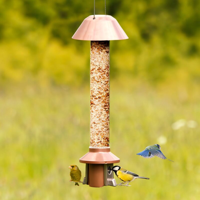 Roamwild PestOff Squirrel Proof Bird Feeder 2.0 For Peanut/Mealworms/Suet Pellets - Image 3