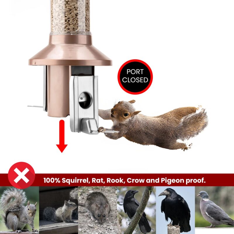 Roamwild PestOff Squirrel Proof Bird Feeder 2.0 | Antique Copper For Mixed Seed/Sunflower Hearts - Image 7