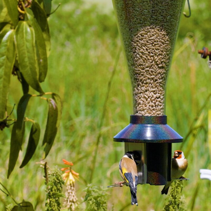 Roamwild Mega PestOff Squirrel Proof Bird Feeder For Mixed Seed/Sunflower Hearts - Image 10