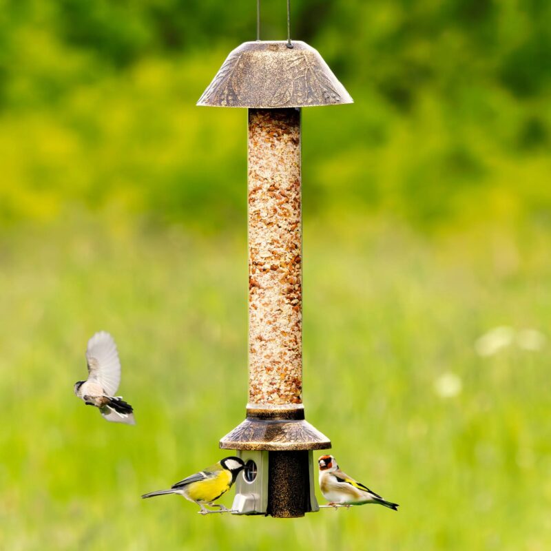 Roamwild PestOff Squirrel Proof Bird Feeder 2.0 For Peanut/Mealworms/Suet Pellets - Image 5