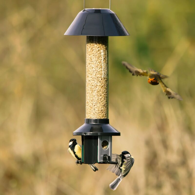 Roamwild PestOff Squirrel Proof Bird Feeder - Compact - Image 3