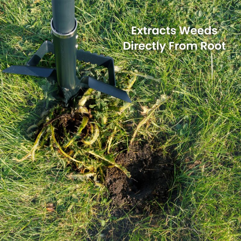 Roamwild Multi-Digger Weeder - Image 3