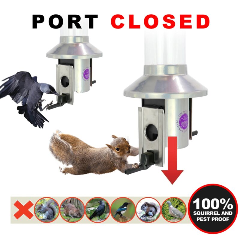 Roamwild PestOff Bird Feeder | Queen Elizabeth II Platinum Jubilee Tribute - Image 12