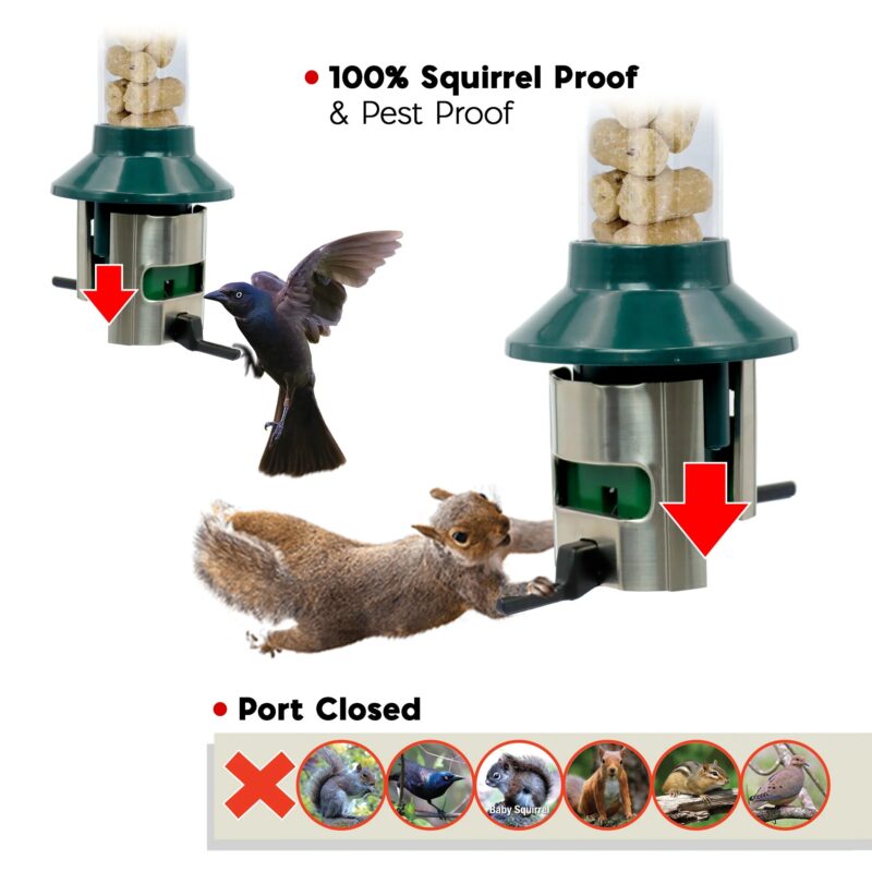 Roamwild PestOff Bird Feeder For Suet Nuggets/Fat Balls - Image 3