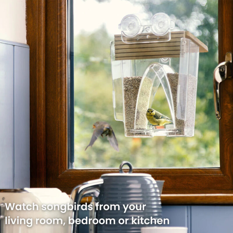 Roamwild Arch Window Bird Feeder - Image 3