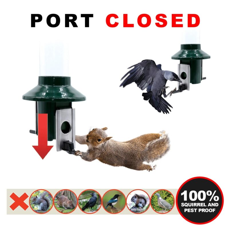 Roamwild PestOff Squirrel Proof Bird Feeder - Compact - Image 4
