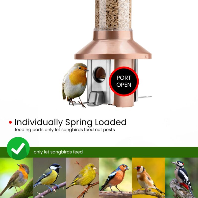 Roamwild PestOff Squirrel Proof Bird Feeder 2.0 | Antique Copper For Mixed Seed/Sunflower Hearts - Image 5