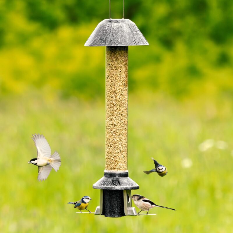 Roamwild PestOff Squirrel Proof Bird Feeder 2.0 For Mixed Seed/Sunflower Hearts - Image 8