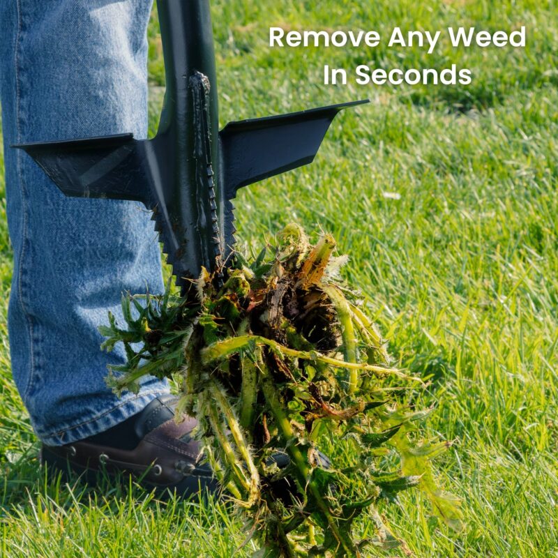 Roamwild Multi-Digger Weeder - Image 4