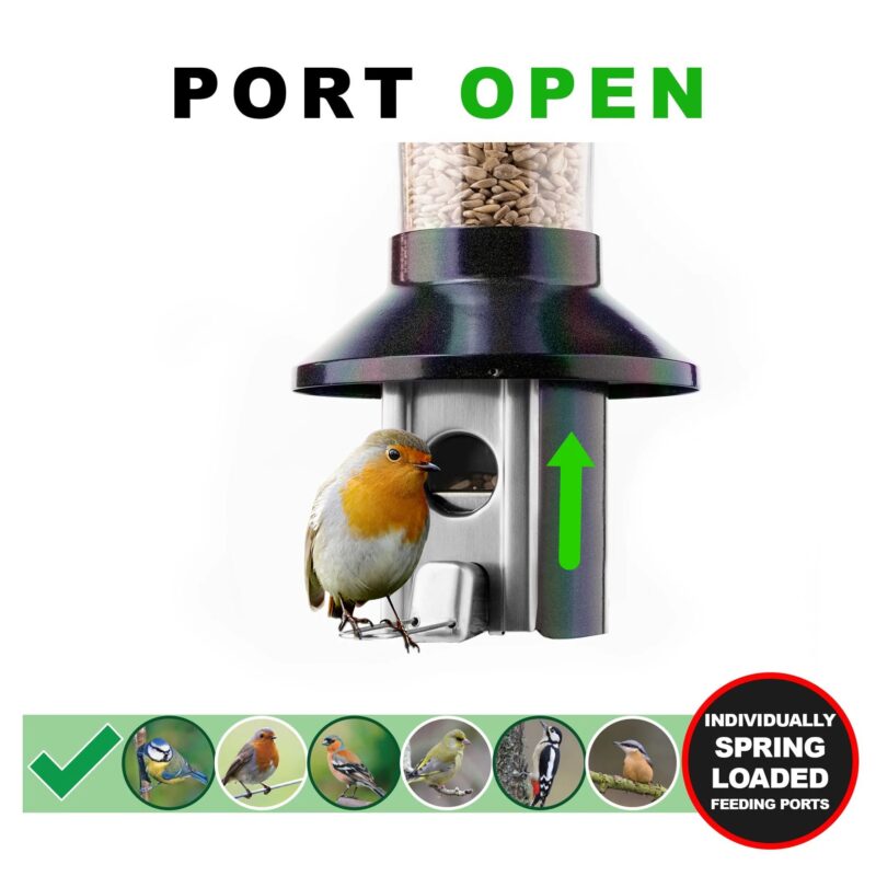 Roamwild Mega PestOff Squirrel Proof Bird Feeder For Mixed Seed/Sunflower Hearts - Image 3