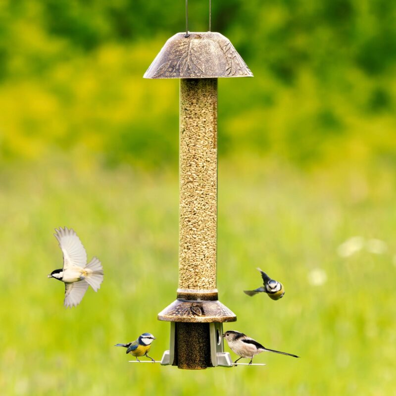 Roamwild PestOff Squirrel Proof Bird Feeder 2.0 For Mixed Seed/Sunflower Hearts - Image 5