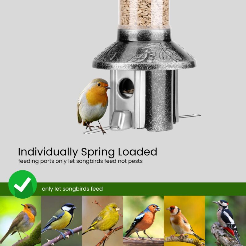 Roamwild PestOff Squirrel Proof Bird Feeder 2.0 | Antique Platinum For Mixed Seed/Sunflower Hearts - Image 3