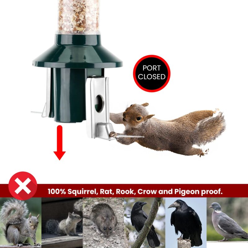Roamwild PestOff Squirrel Proof Bird Feeder 2.0 For Peanut/Mealworms/Suet Pellets - Image 6