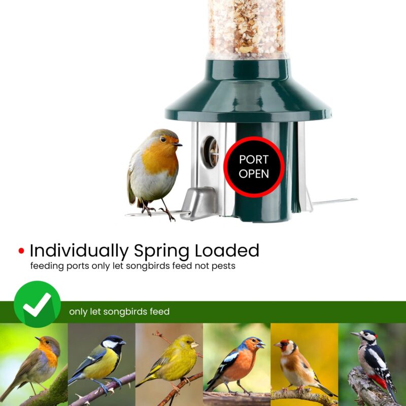 Roamwild PestOff Squirrel Proof Bird Feeder 2.0 For Peanut/Mealworms/Suet Pellets - Image 4