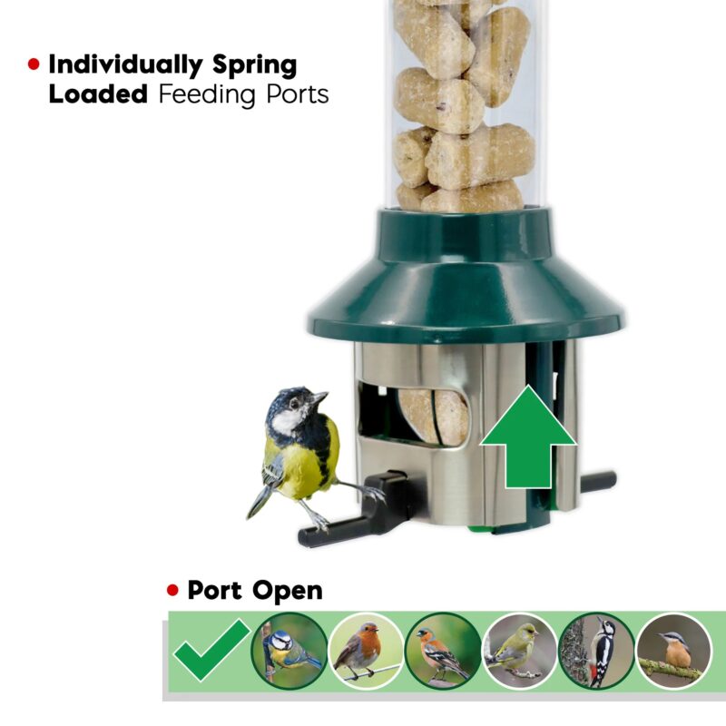 Roamwild PestOff Bird Feeder For Suet Nuggets/Fat Balls - Image 2