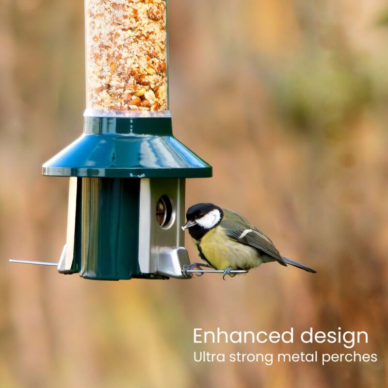 Roamwild PestOff Squirrel Proof Bird Feeder 2.0 For Peanut/Mealworms/Suet Pellets - Image 9