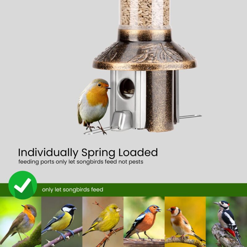 Roamwild PestOff Squirrel Proof Bird Feeder 2.0 | Antique Gold For Mixed Seed/Sunflower Hearts - Image 3