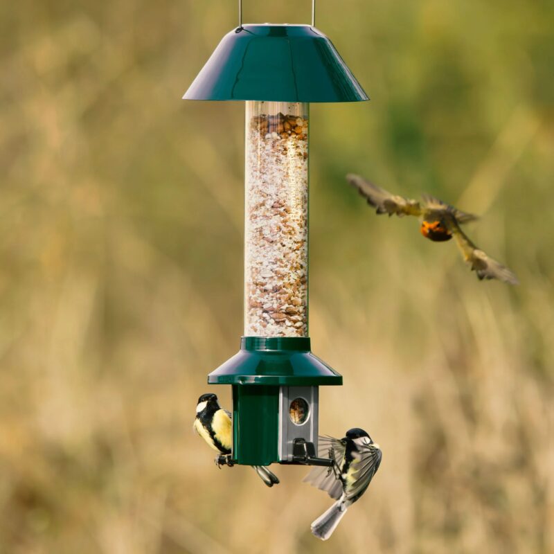 Roamwild PestOff Squirrel Proof Bird Feeder - Compact - Image 5