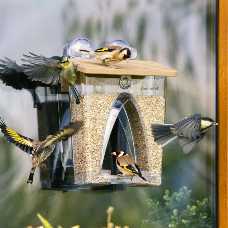Roamwild Arch Window Bird Feeder - Image 9