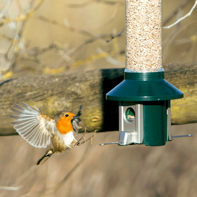Roamwild PestOff Squirrel Proof Bird Feeder 2.0 For Mixed Seed/Sunflower Hearts - Image 9