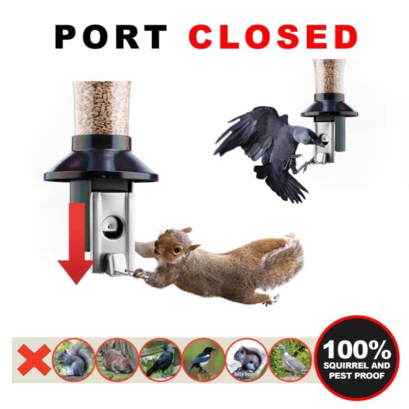 Roamwild Mega PestOff Squirrel Proof Bird Feeder For Peanut/Mealworms - Image 5