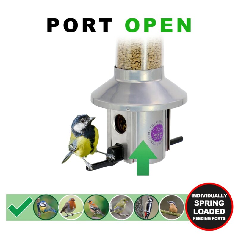 Roamwild PestOff Bird Feeder | Queen Elizabeth II Platinum Jubilee Tribute - Image 11