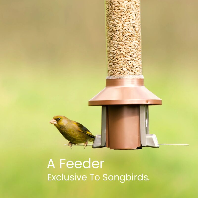 Roamwild PestOff Squirrel Proof Bird Feeder 2.0 | Antique Copper For Mixed Seed/Sunflower Hearts - Image 3