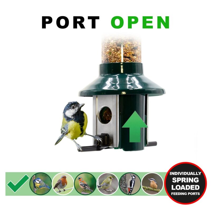 Roamwild PestOff Squirrel Proof Bird Feeder - Compact - Image 6