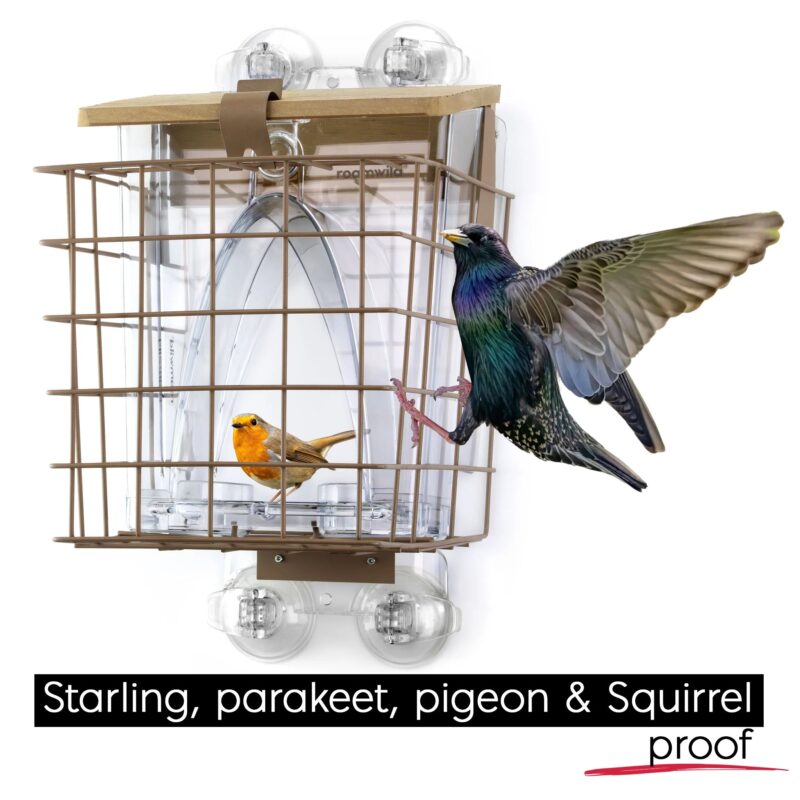 Arch Window Feeder: Squirrel Proof Cage Accessory - Image 8