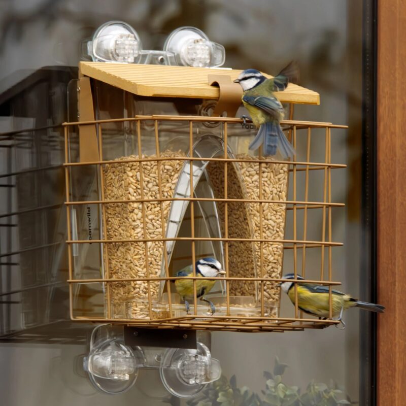 Roamwild Arch Window Bird Feeder - Image 2