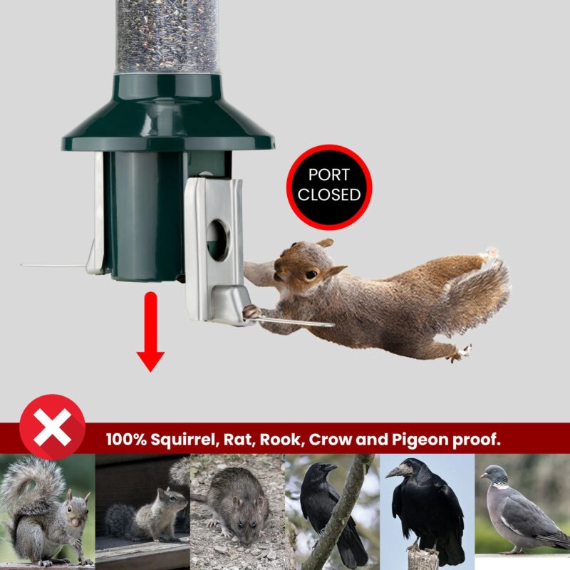 Roamwild PestOff Squirrel Proof Bird Feeder 2.0 For Nyjer/Thistle Seed - Image 4