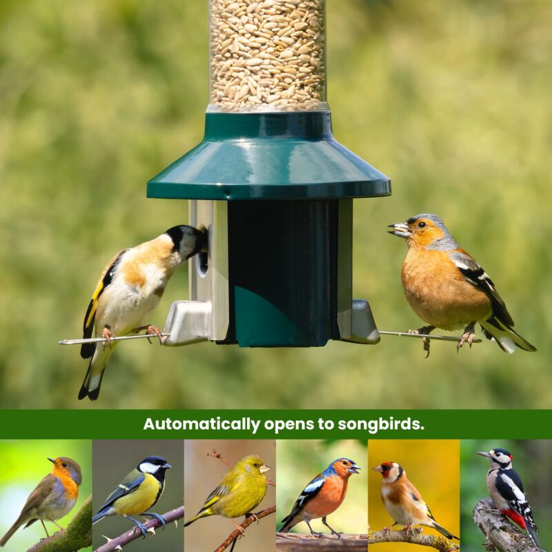 Roamwild PestOff Squirrel Proof Bird Feeder 2.0 For Mixed Seed/Sunflower Hearts - Image 4