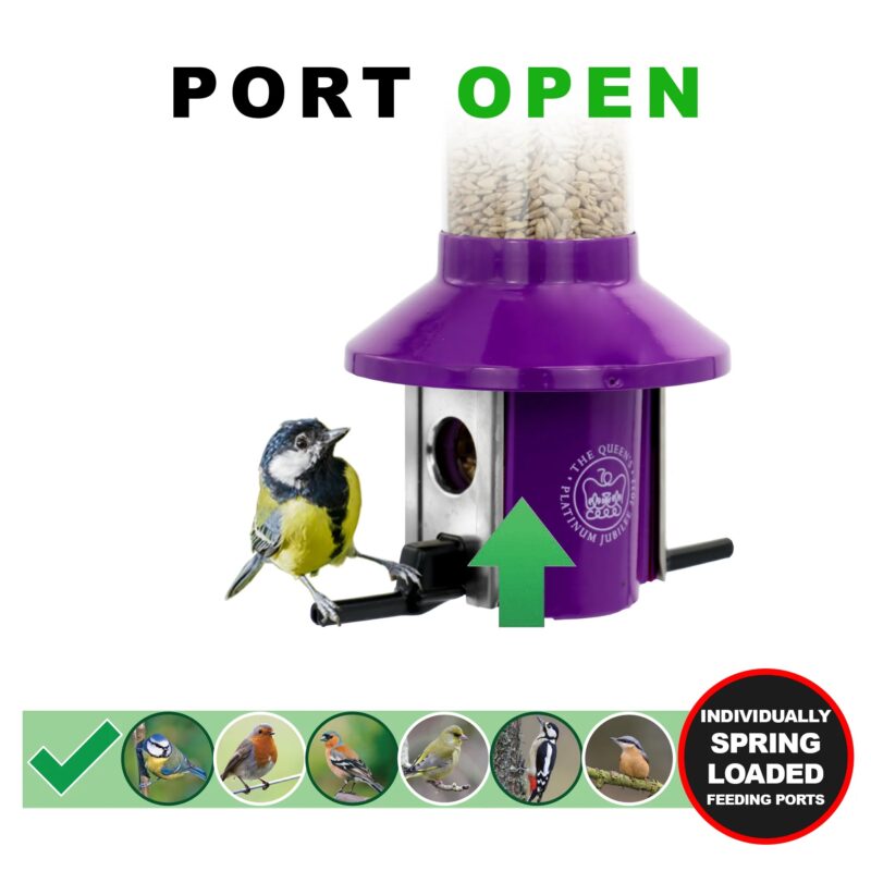 Roamwild PestOff Bird Feeder | Queen Elizabeth II Platinum Jubilee Tribute - Image 5