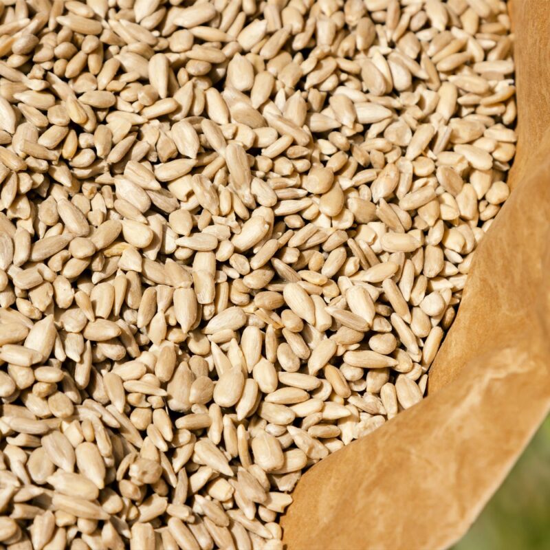 Premium Sunflower Hearts Bird Feeder Filling Starter Kit (12.75kg) - Image 4