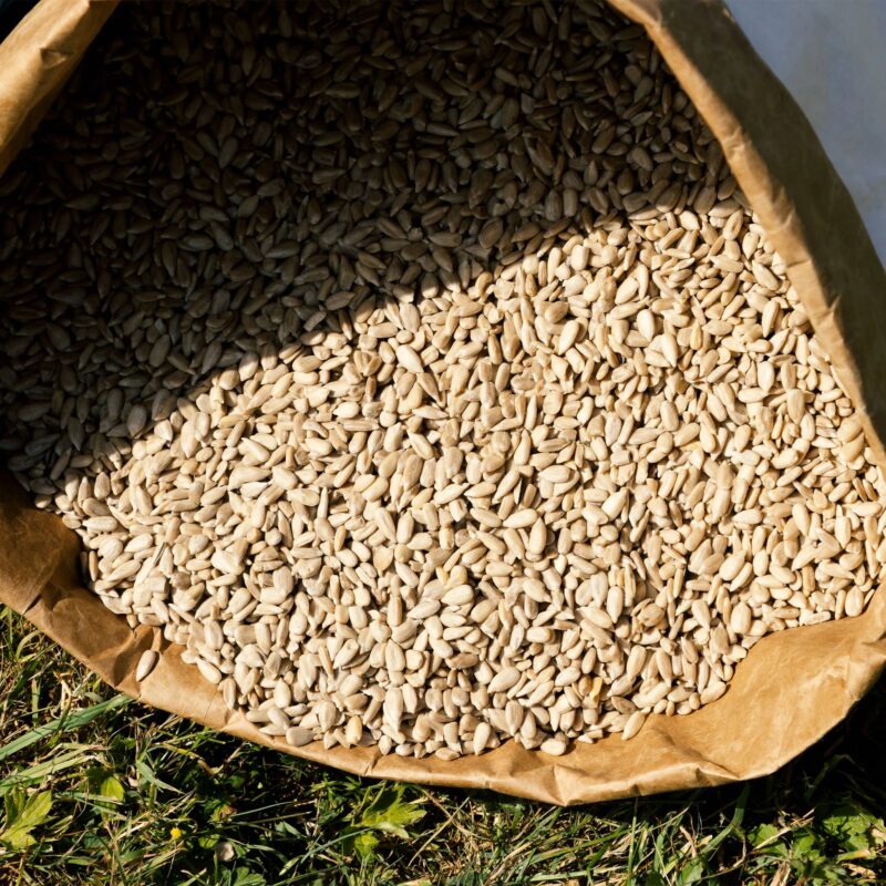 Premium Sunflower Hearts Bird Feeder Filling Starter Kit (12.75kg) - Image 2