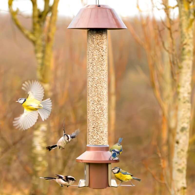 Roamwild PestOff Squirrel Proof Bird Feeder 2.0 For Mixed Seed/Sunflower Hearts - Image 3